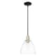 Option Clear / Black Antique Brass