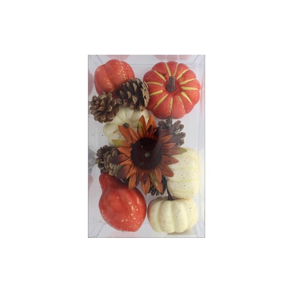 SPC Filler Pumpkins,Gourds,Pinecones, Flower Boxed