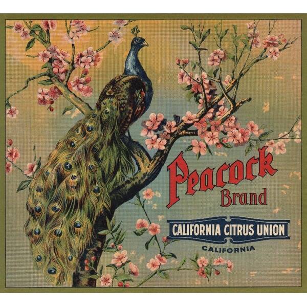 California Peacock Brand Vintage Label Art Print