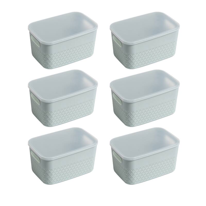 HANAMYA Lidded Storage Bin Organizer | Storage Organizing Container, Set of 6 - 4 Liter, Set of 6 - Mint