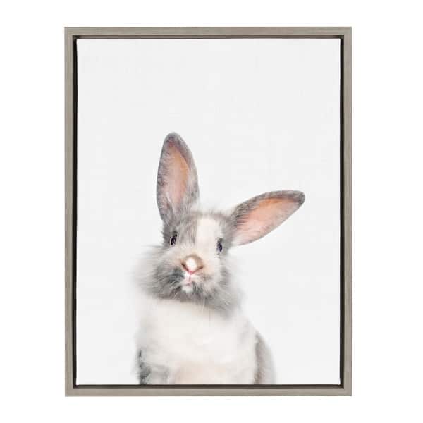 slide 2 of 11, Sylvie M Baby Bunny Rabbit Animal Print Framed Canvas by Amy Peterson