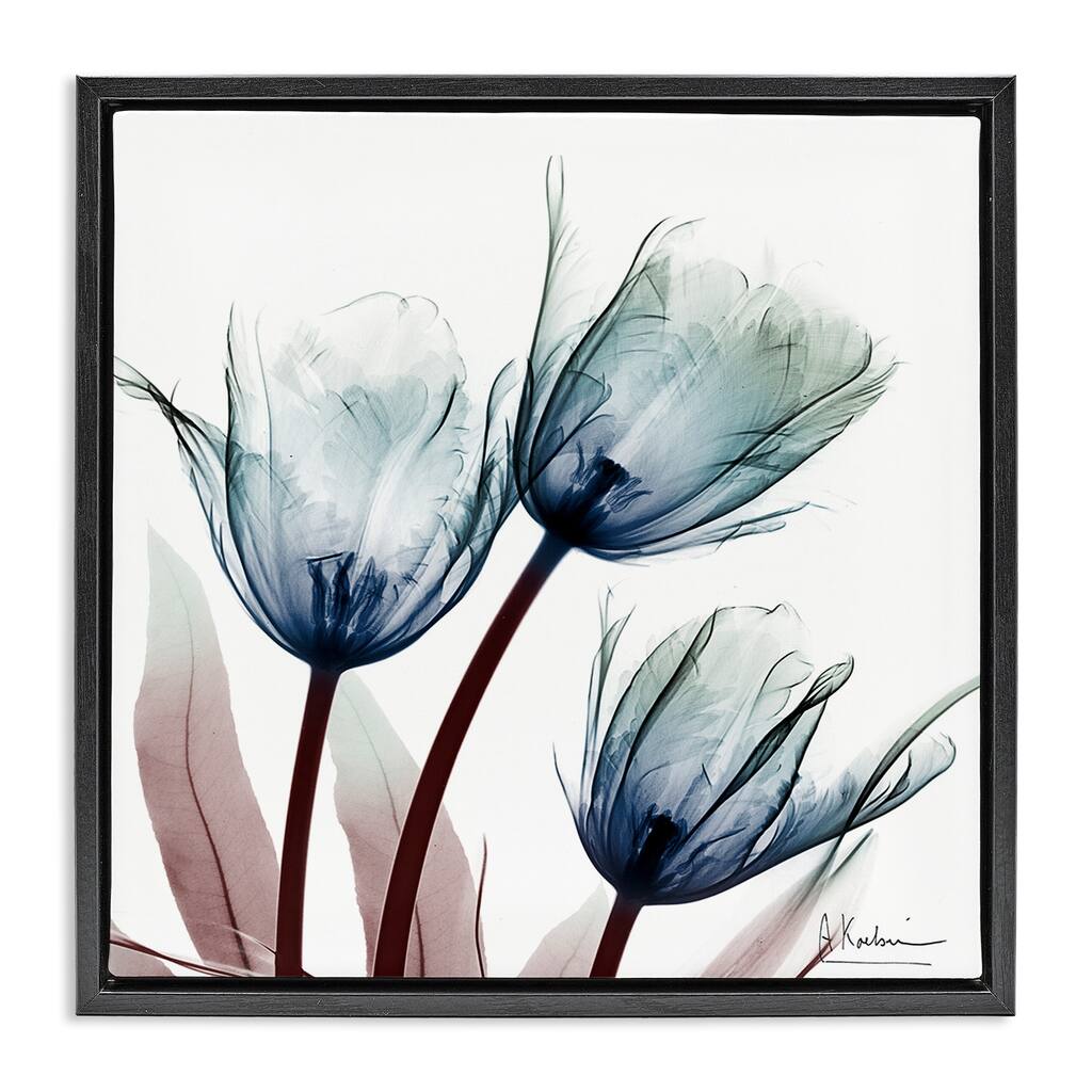 Stupell Translucent Tulip Bulbs Framed Floater Canvas Wall Art Design By Albert Koetsier