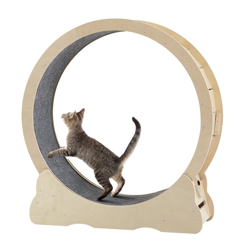 Indoor Cat Treadmill with Carpeted Track for Cats, Safe Cat Exercise Wheel with Secure Latch