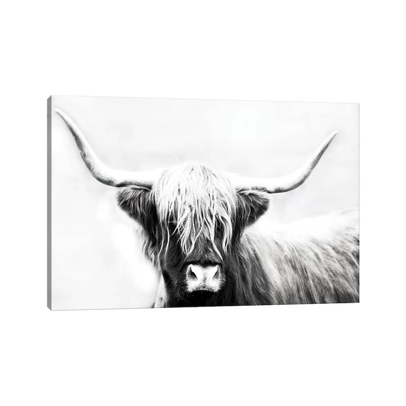 iCanvas "Highland Longhorn" by Danita Delimont Canvas Print