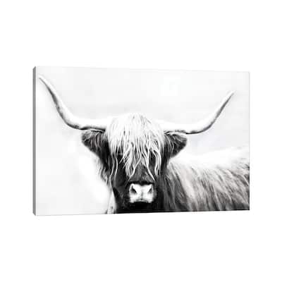 iCanvas "Highland Longhorn" by Danita Delimont Canvas Print