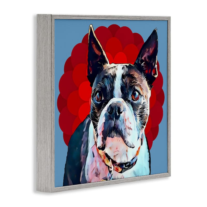Stupell Boston Terrier Dog Portrait over Geometric Curved Pattern Framed Wall Art,12x12