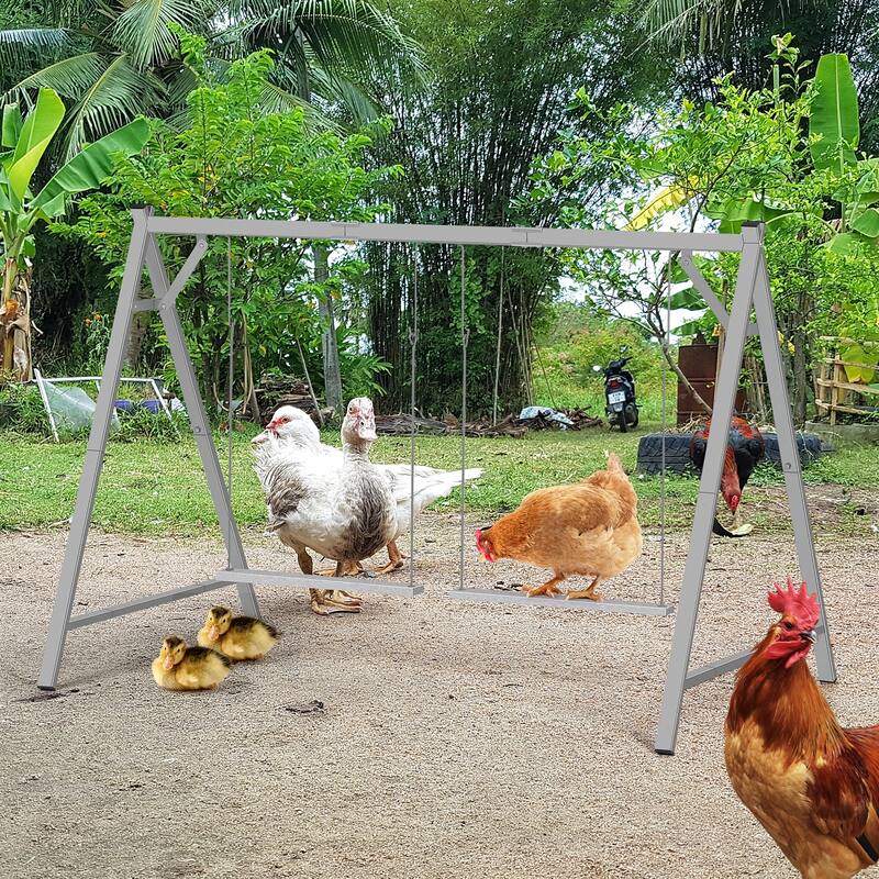 Chicken Perches with Swing, Chicken Roosting Bars for Coop Accessories - Grey