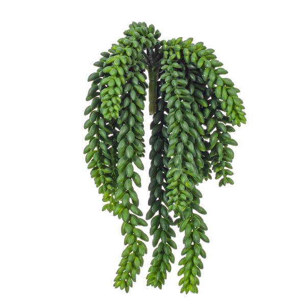 Vickerman 13" Green Donkey Tail Succulent - Bed Bath & Beyond - 20694504