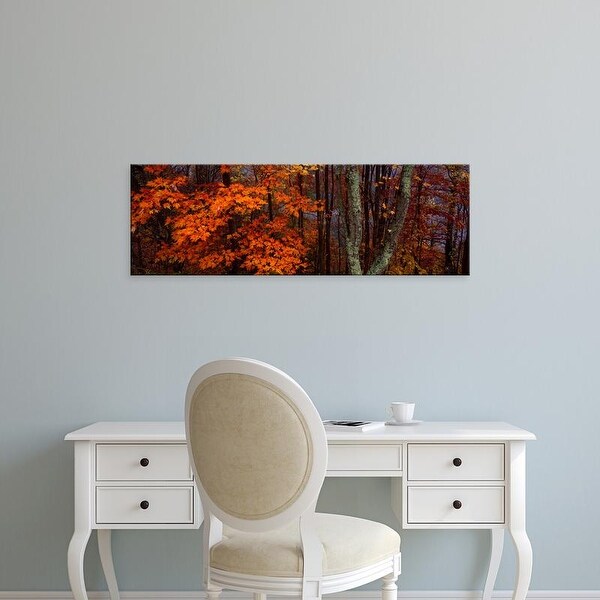 Easy Art Prints Panoramic Image 'trees in forest, Great Smoky Mountains National Park, North Carolina' Canvas Art