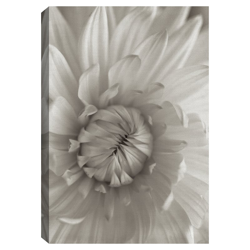 Florison #24 by Alan Blaustein Canvas Art Print