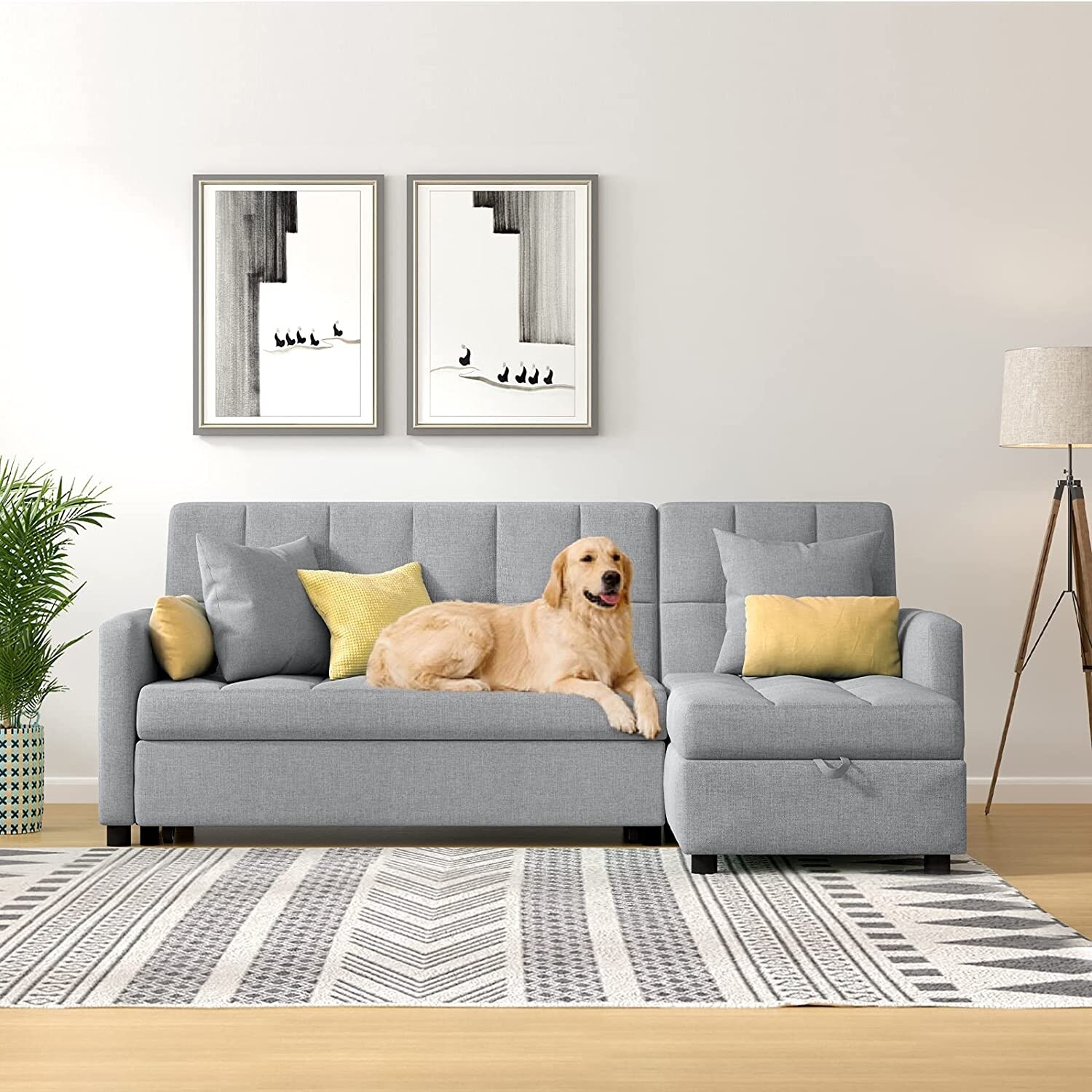Couch with pull out dog sale bed