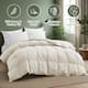 Option Medium Weight Ivory