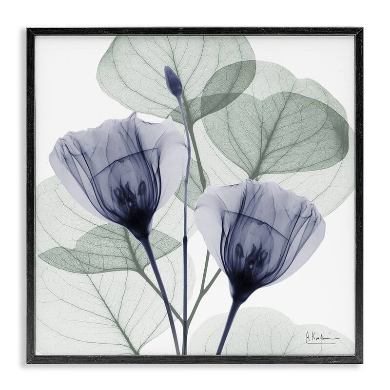 Stupell Contemporary Eucalyptus & Herbs Framed Giclee Art Design By Albert Koetsier - 17 x 17 - Black
