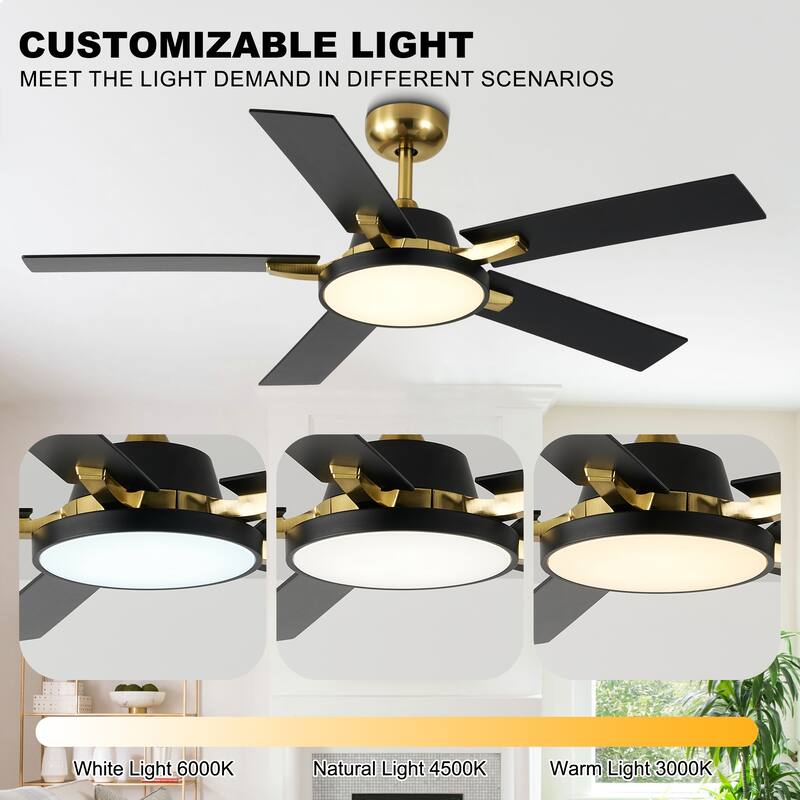Oaks Aura 52" Dimmable Ceiling Fan with Light,LED Reversible Blades Fan Light,6 Speeds Quiet DC Motor with Remote for Indoor Use