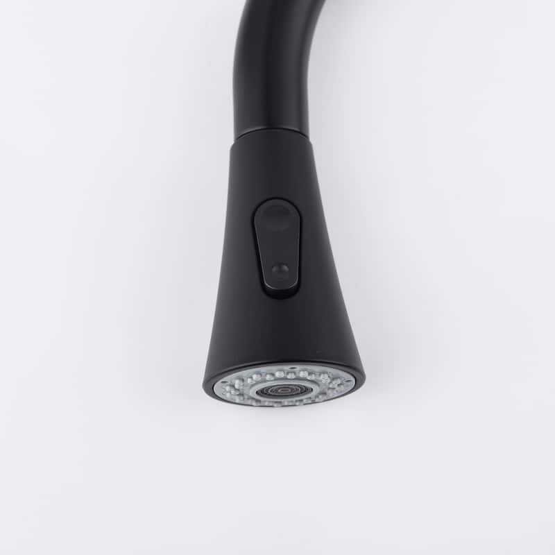 Single Handle Pull out Kitchen Faucet