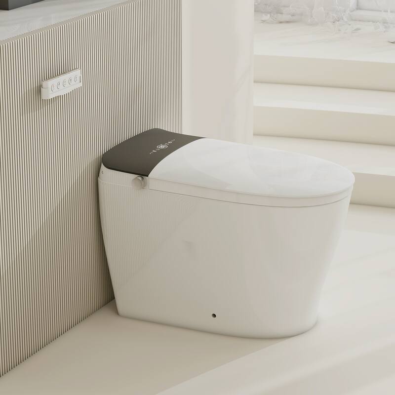Smart Toilet with Built In Tank, One Piece Bidet Toilet - Warm Water, Heated Seat, Foam Shield, Auto Flush, Blackout Flush - D07 Standard+Foam Shield