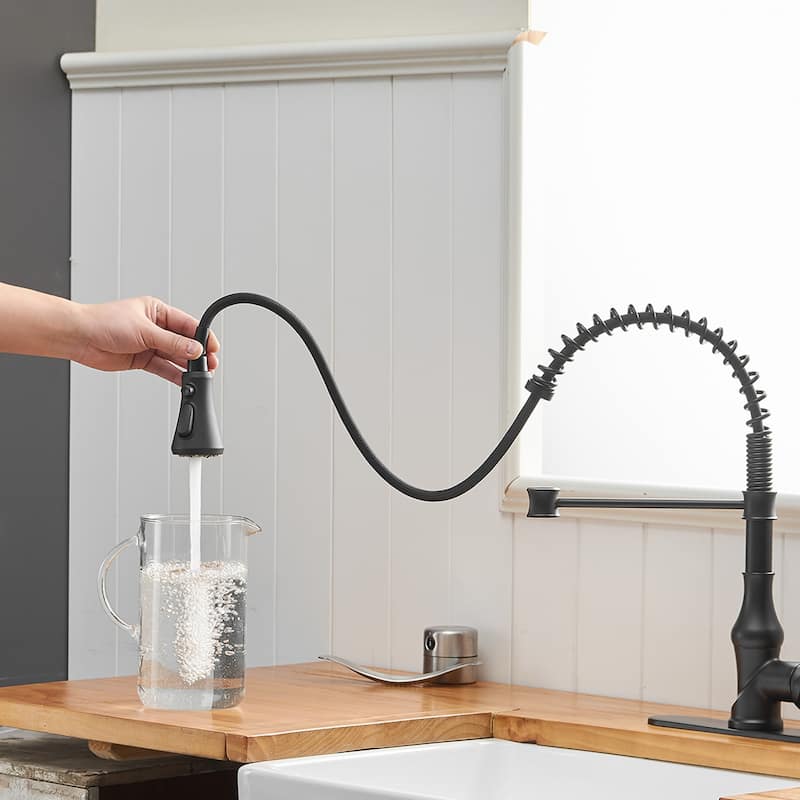 WIZ Single-Handle Pull-Down Sprayer 3 Spray High Arc Kitchen Faucet
