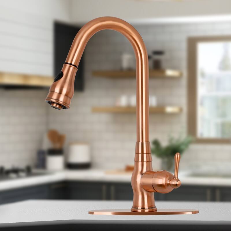 Pull Down Kitchen Faucet with Deck Plate