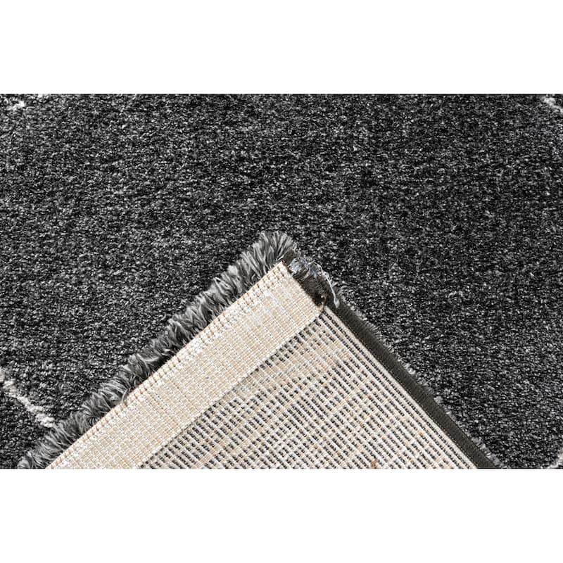 Nina Rowan Black and Ivory Recycled Polyester Area Rug - 6' x 9'