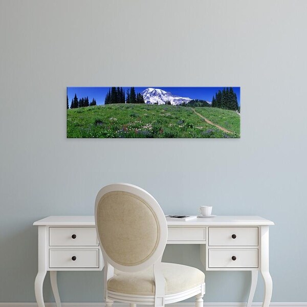 Easy Art Prints Panoramic Images's 'Meadow, Mount Rainier, Washington State, USA' Premium Canvas Art