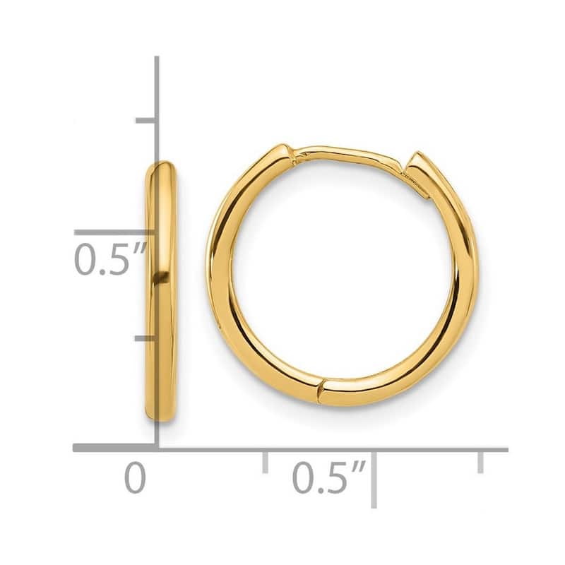 Curata 14k Yellow Gold Polished Hinged Hoop Earrings - 15.6x16.5mm
