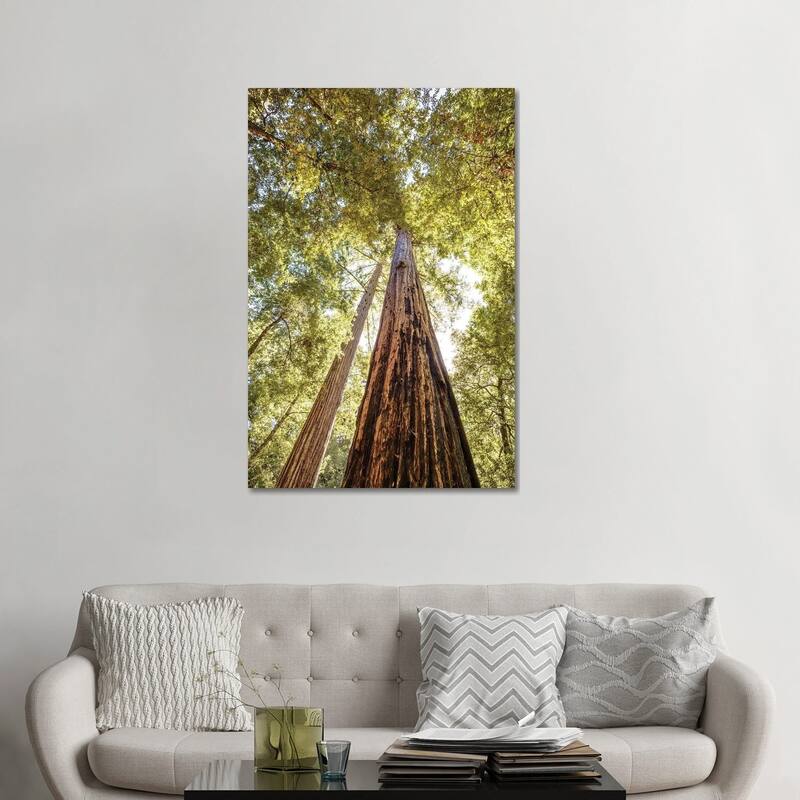 iCanvas "The Tallest Redwoods" by Joseph S. Giacalone Canvas Print - 48x32x1.5