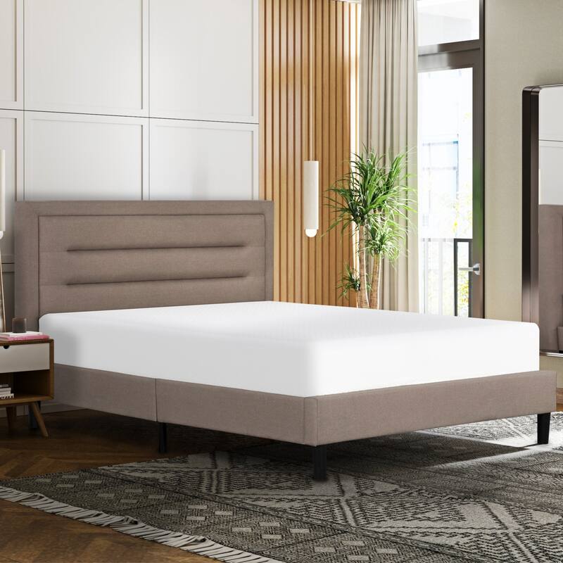 Divine 8 in. Medium Gel Foam with Aloe Vera Bed in a Box Mattress