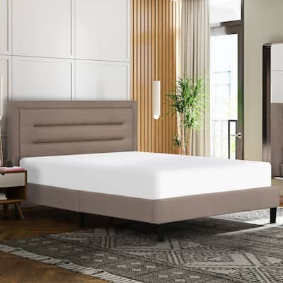 Divine 8 in. Medium Gel Foam with Aloe Vera Bed in a Box Mattress