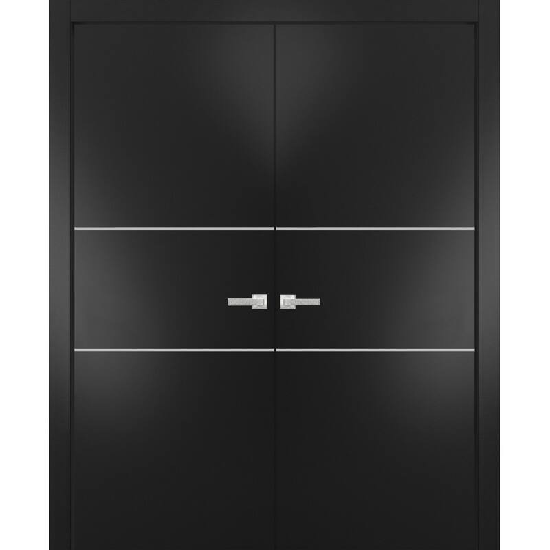 Solid French Double Doors 36 x 80 Planum 0110 Matte Black with - Black - 48" x 96" ( 2* 24x96)
