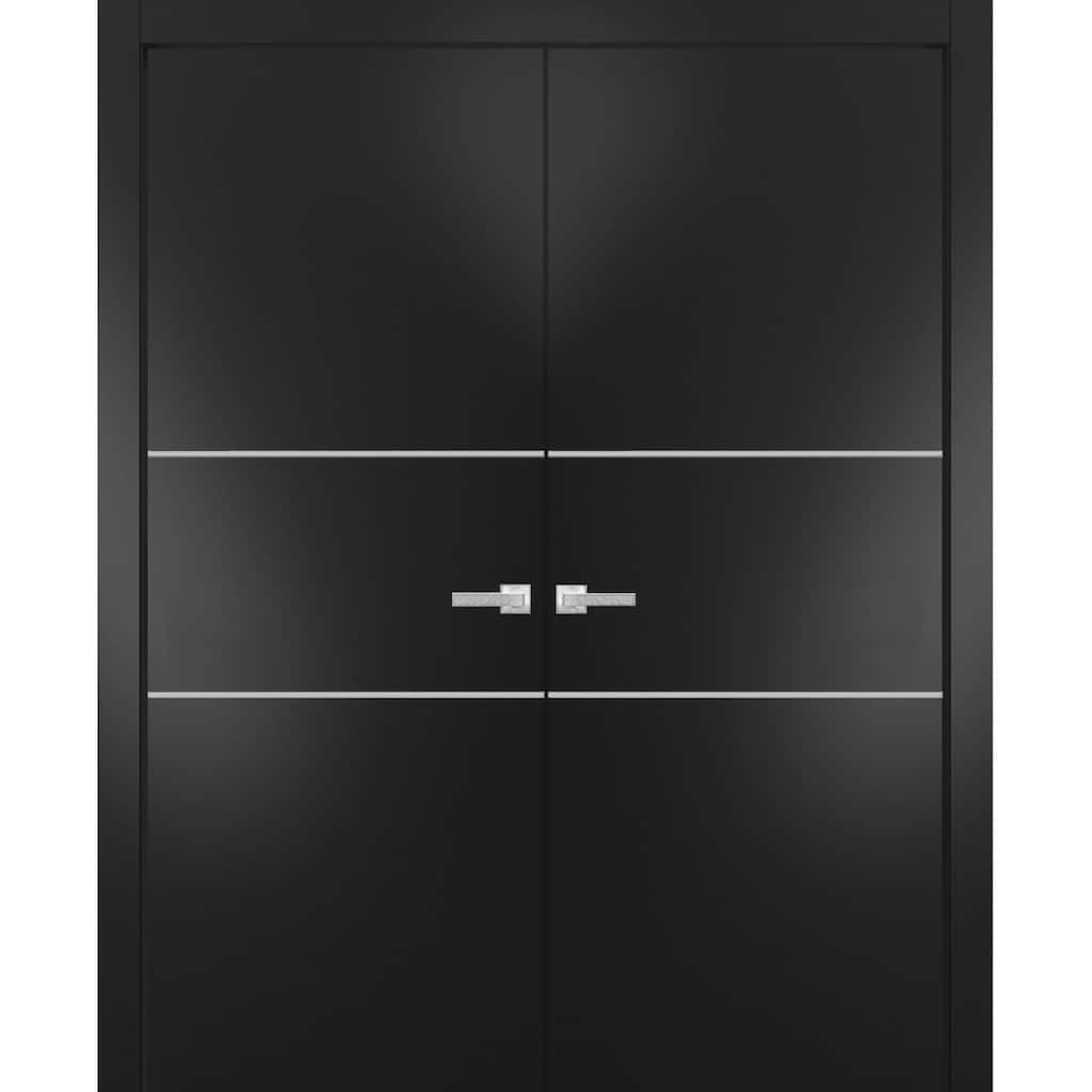 Solid French Double Doors 36 x 80 Planum 0110 Matte Black with