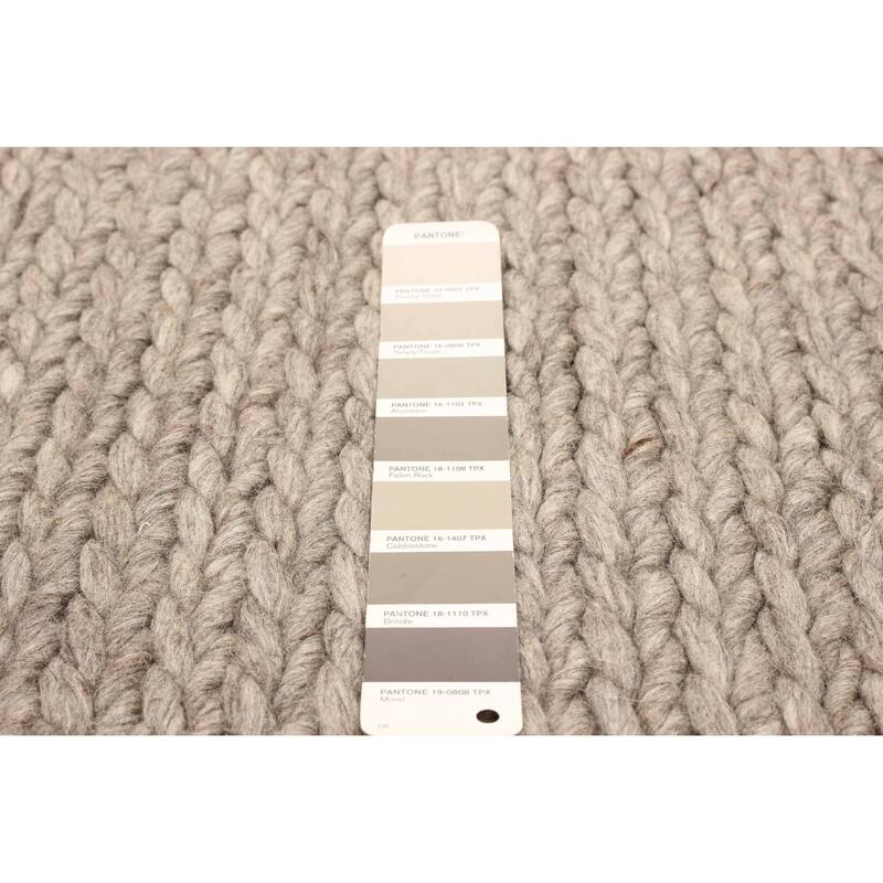 ECARPETGALLERY Braid weave Sienna Taupe Wool Rug - 4'10 x 8'0