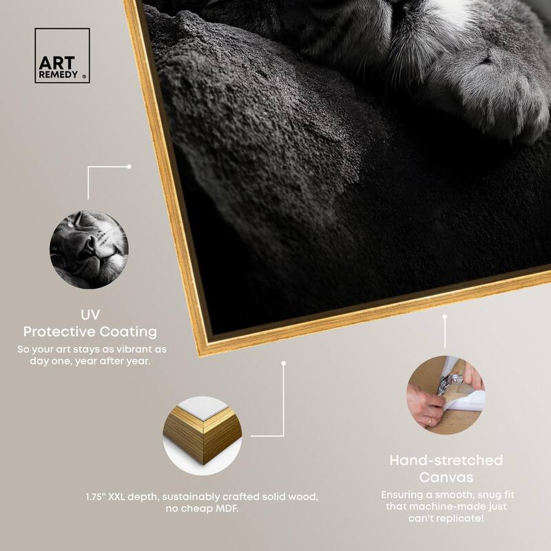 Resting Predator Canvas by Art Remedy