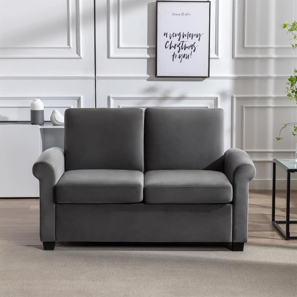 Pull Out Sofa Bed Sleeper with Twin Size Mattress Pad 2-in-1 Loveseat