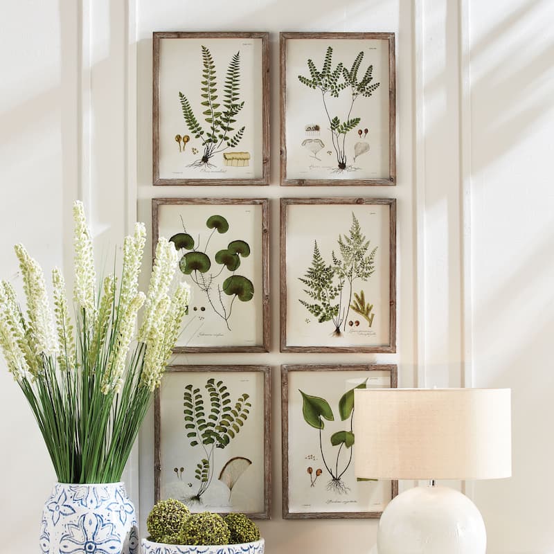 Shade Garden Study, Set Of 6
