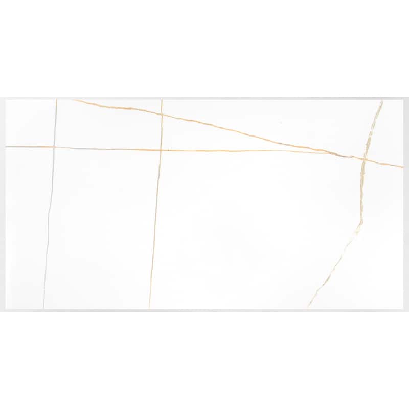 Intrinsic 24 in. x 48 in. Ishi Polished Porcelain Wall and Floor Tile