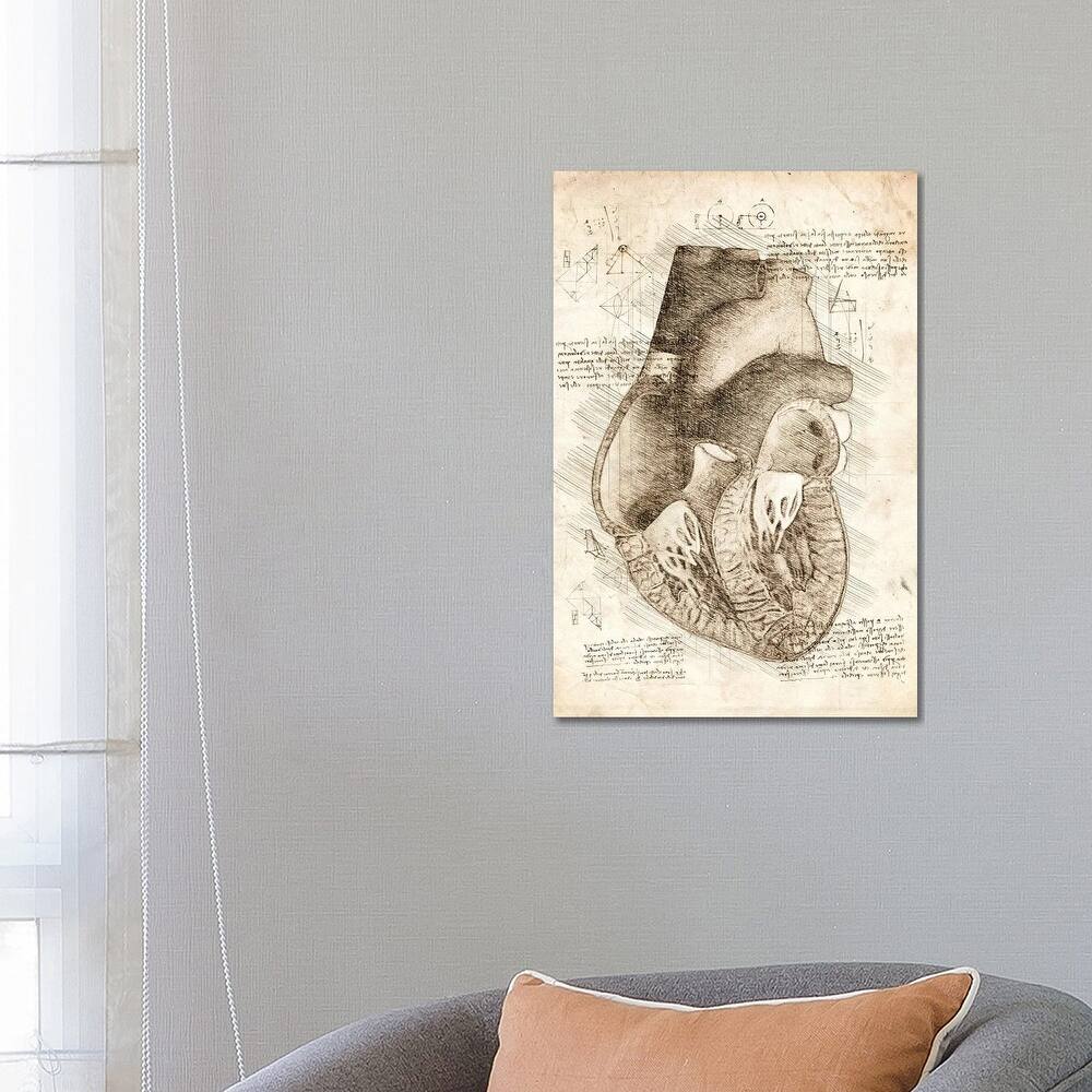 iCanvas "Human Heart Inside View" by Cornel Vlad Canvas Print