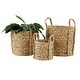 preview thumbnail 14 of 19, Dried Plant Material Coastal Basket (Set of 3) - S/3 20", 17", 13"H