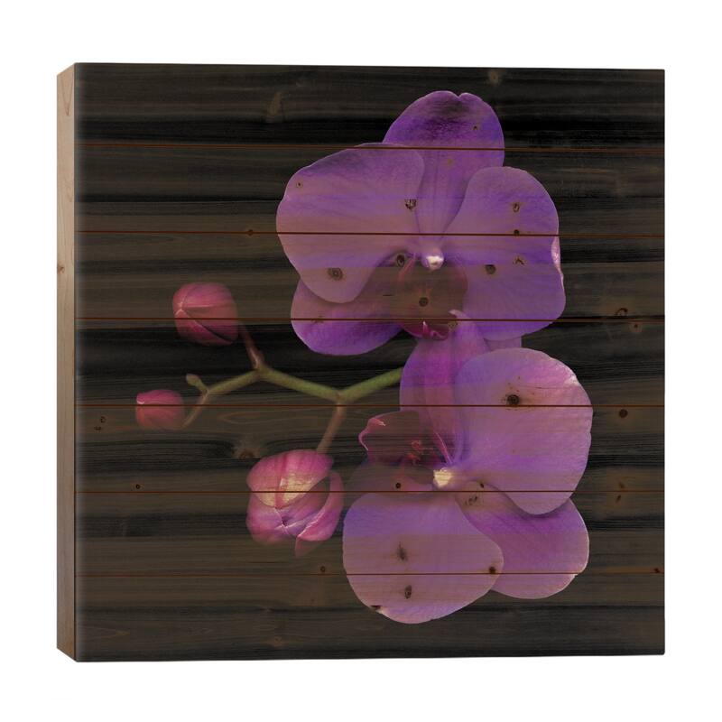 The Color Purple Print On Wood by Magda Indigo - Multi-Color - 26x26x1.5