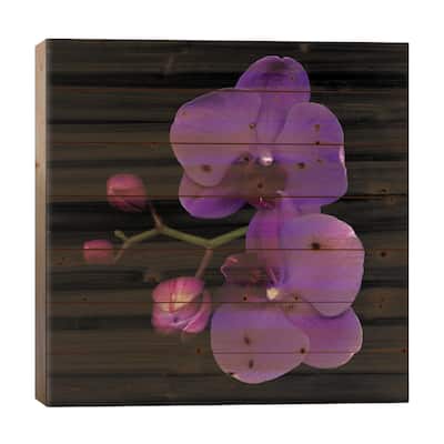 The Color Purple Print On Wood by Magda Indigo - Multi-Color