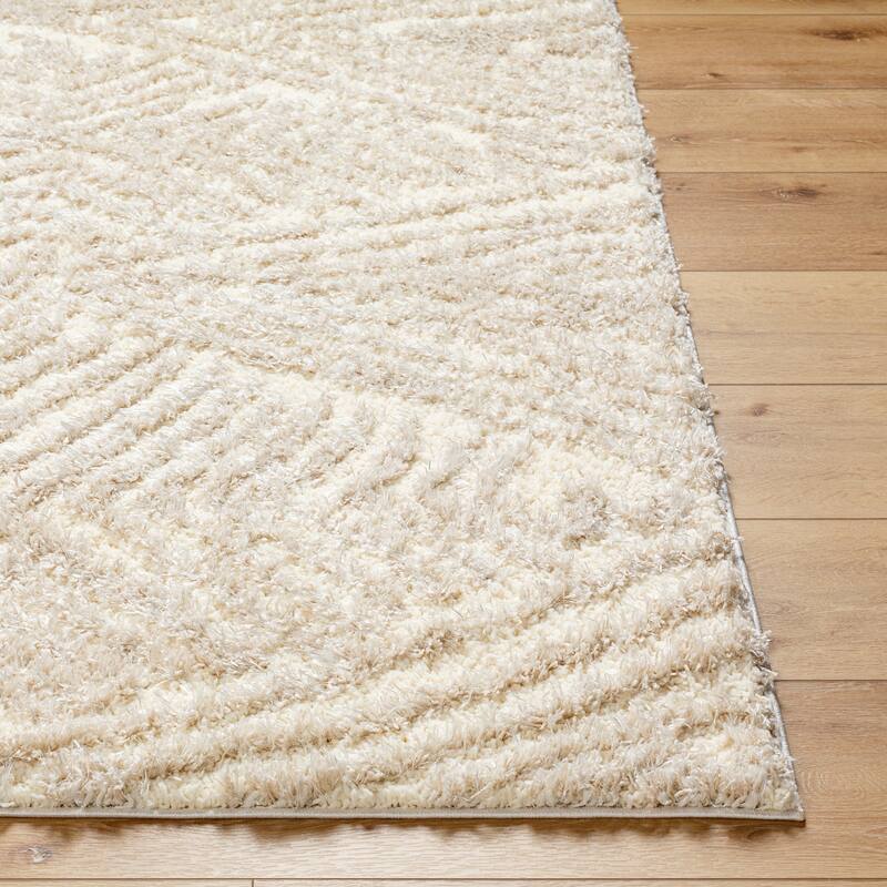 Chambers Shag Area Rug