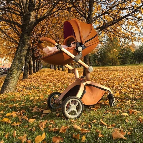 Luxury Most Expensive Strollers Hot Mom 360 Degree Rotating Baby Carriage  High Landscape Pram Stroller, Brown 40 Bed Bath Beyond 35462813