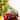 Glitzhome LED Lighted Red Truck Christmas Table Decor - 11"l*5.2"w*6"h