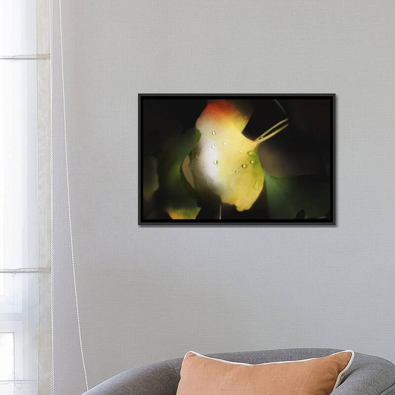 iCanvas "Apple Color" by Philippe Sainte-Laudy Framed