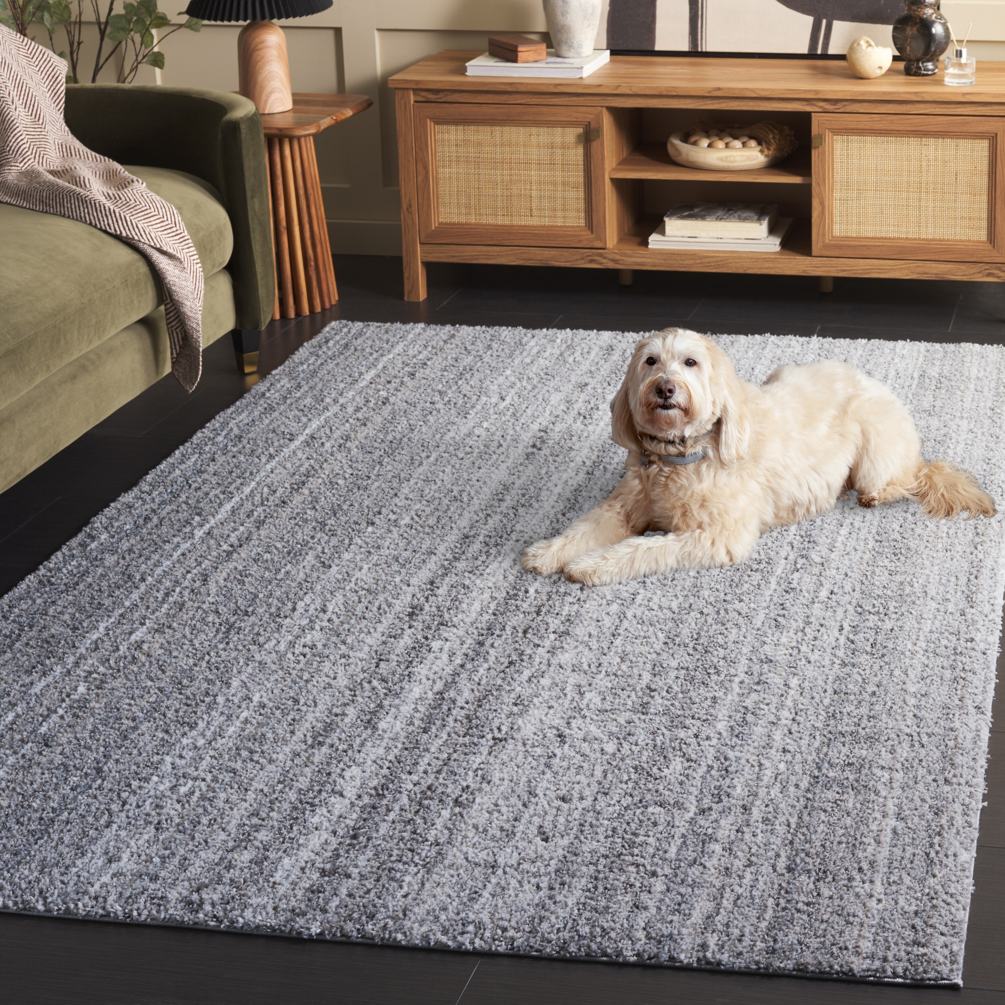 SAFAVIEH Everett Shag Dida 1-inch Thick Rug - Overstock - 43177608