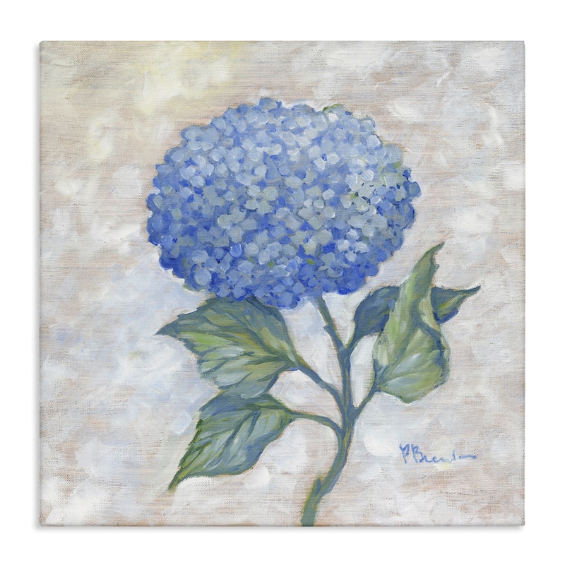 Stupell Traditional Blue Hydrangea Bloom Canvas Wall Art Design By Paul Brent - 17 x 17