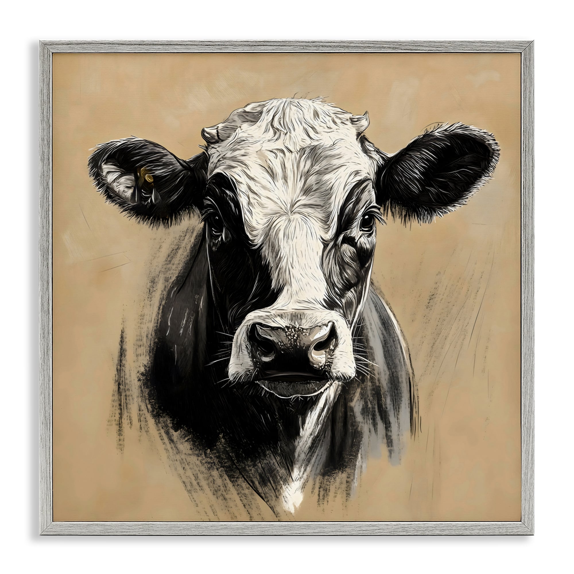 Stupell Dairy Cow Brushed Portrait Framed Giclee Art Design By Creative Studio