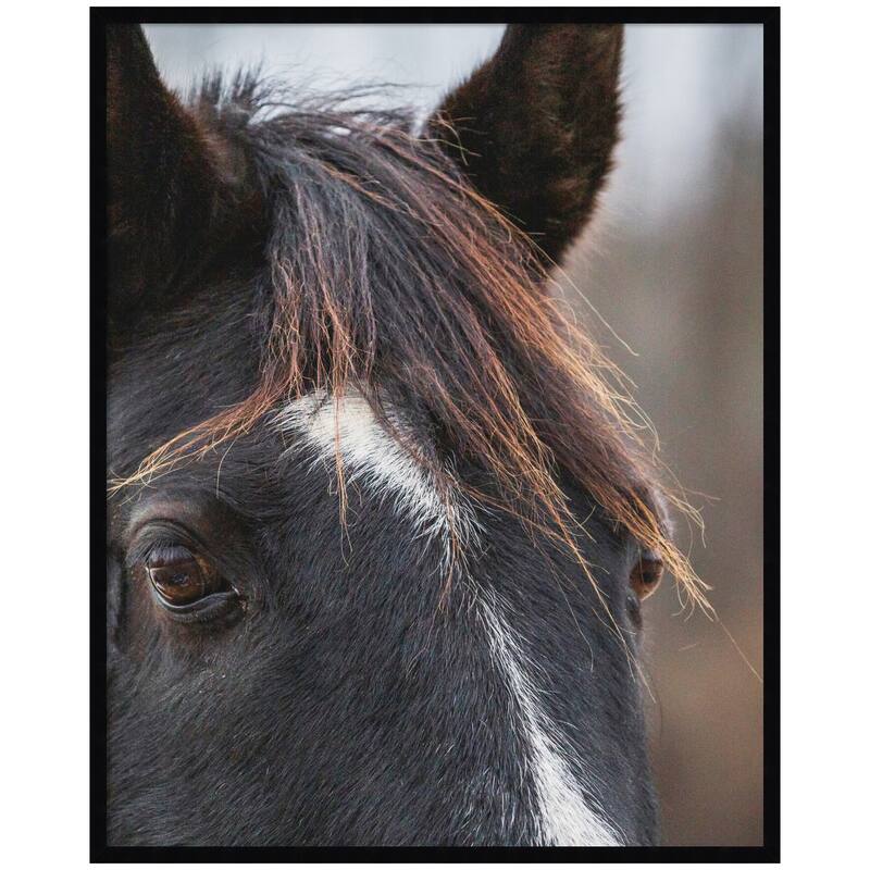 Kate and Laurel Black and White Horse by Emiko and Mark Franzen F2 Images Framed Wall Art Print - 33 x 41 - Black