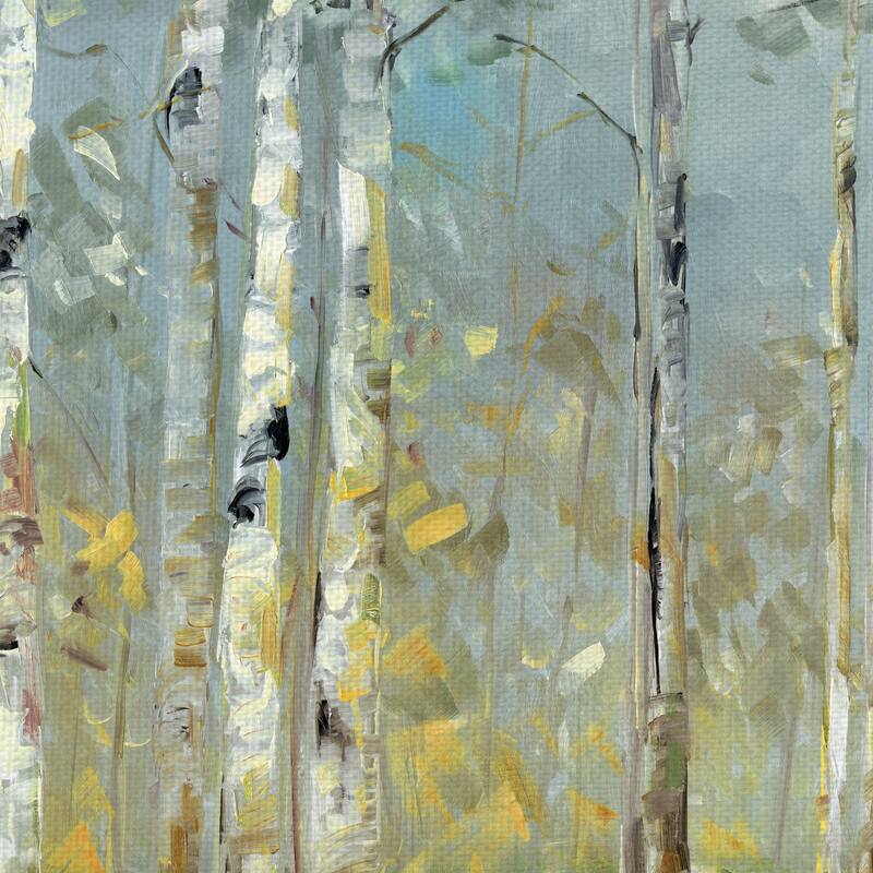 Birch Reflections III, IV by Sally Swatland Canvas Art Prints