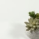 preview thumbnail 29 of 78, Porch & Den Angus Foiled 2-drawer Nightstand
