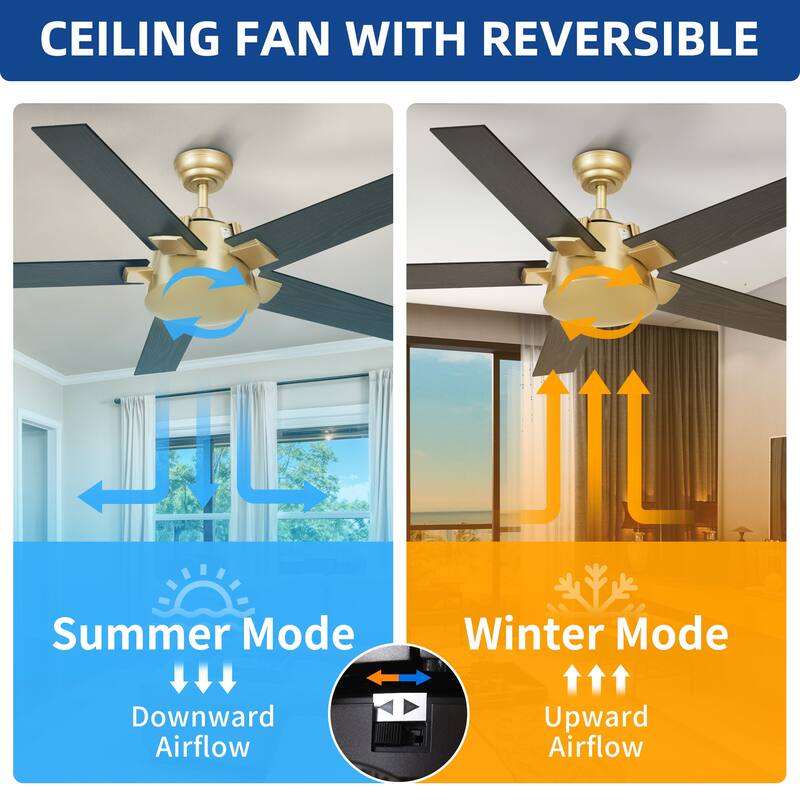 Moasis 52 Inch Modern Black Gold Ceiling Fan with Wall Switch & Remote